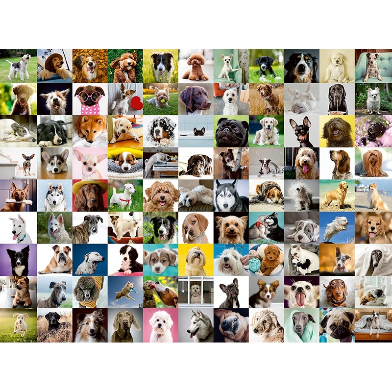 99 Lovable Dogs  750 Piece Jigsaw Puzzle (Ravensburger)