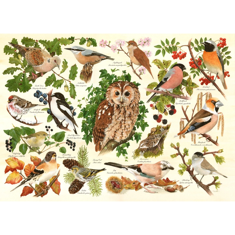 Woodland Birds  500 Piece Jigsaw Puzzle (HOP)