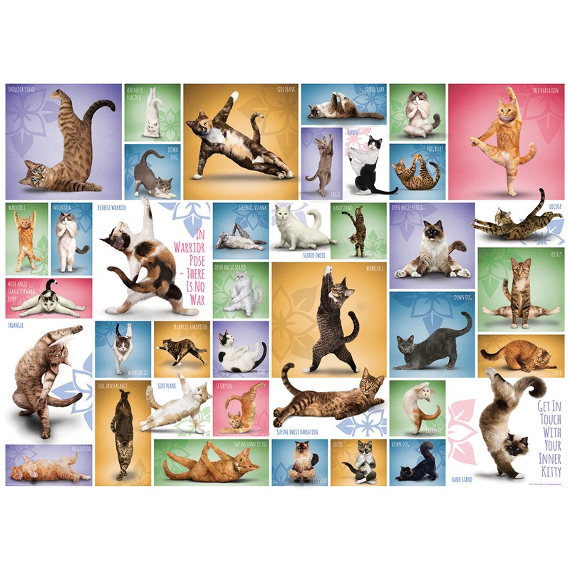 Yoga Cats  1000 Piece Jigsaw Puzzle (Eurographics)
