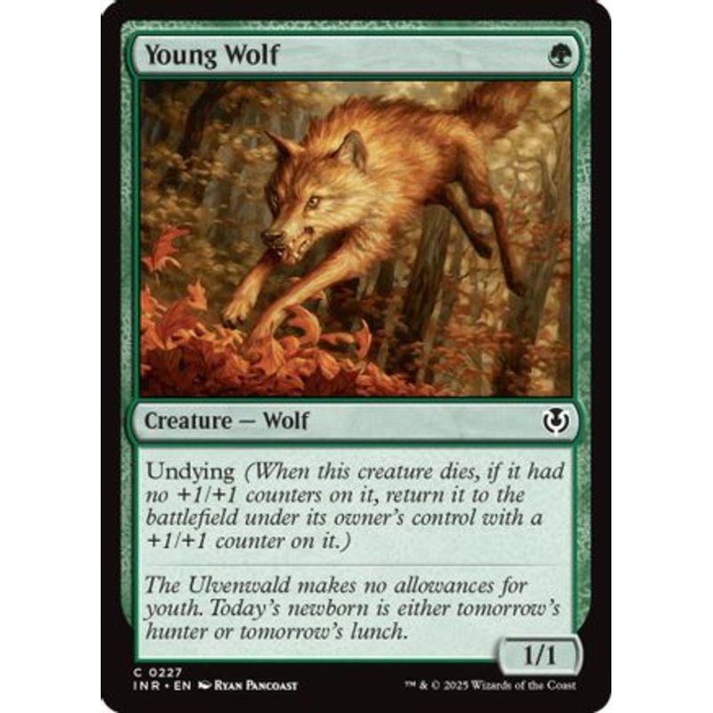 Young Wolf (INR-227) – Innistrad Remastered [Common]